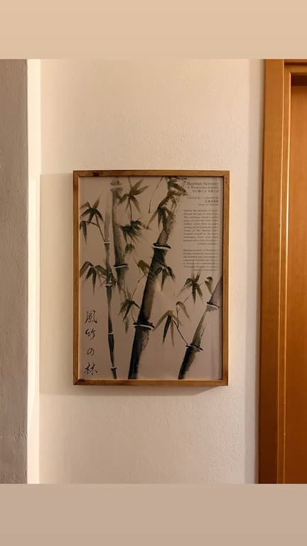 La stampa è fatta molto bene e anche se spedita non si rovina. Rimane comunque una stampa&nbsp;