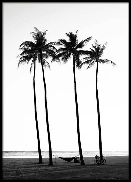 Palm Trees On Beach Poster in der Gruppe Poster / Schwarz-Weiss bei Desenio AB (10233)