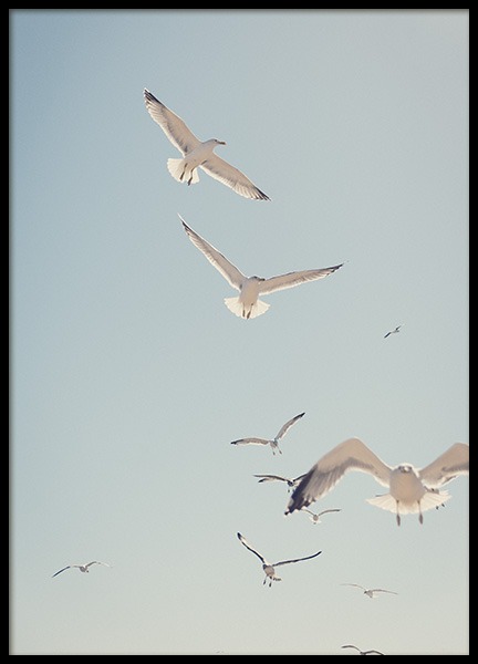 Yelling Affiche dans le groupe Affiches / Nature chez Desenio AB (10697)