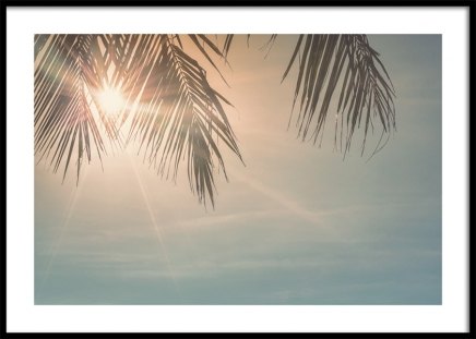 Sunset Palm Leaves Poster nel gruppo Poster / Natura / Quadri cielo presso Desenio AB (10882)