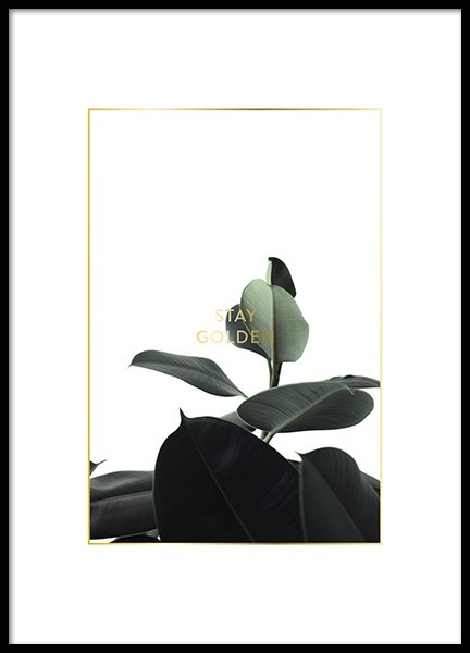 Stay Golden Affiche dans le groupe Affiches / Affiche citation chez Desenio AB (10901)