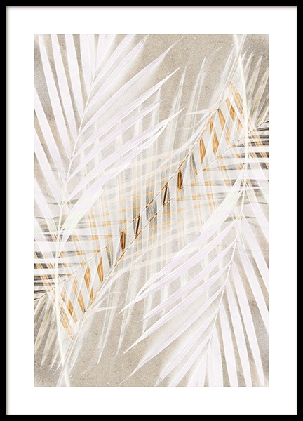 White Palm Leaves Poster in der Gruppe Poster / Fotografien bei Desenio AB (12059)