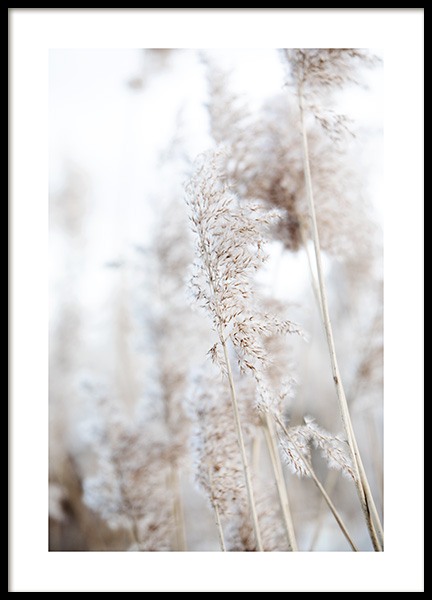 In the Reeds No1 Poster in der Gruppe Poster / Fotografien bei Desenio AB (12423)