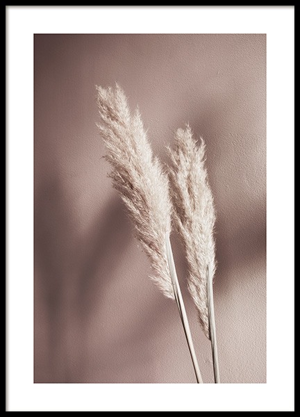 Beige Reeds No2 Poster nel gruppo Poster / Fotografia presso Desenio AB (12426)