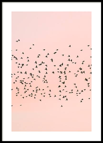 Pink Sunset Birds Poster nel gruppo Poster / Natura presso Desenio AB (12601)