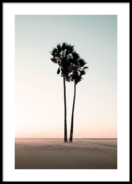 Coconut Palm Trees Poster in der Gruppe Poster / Naturmotive / Tropisch bei Desenio AB (12647)