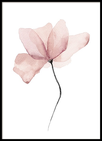 Aquarelle Flower Poster nel gruppo Poster / Fiori & Piante presso Desenio AB (12897)