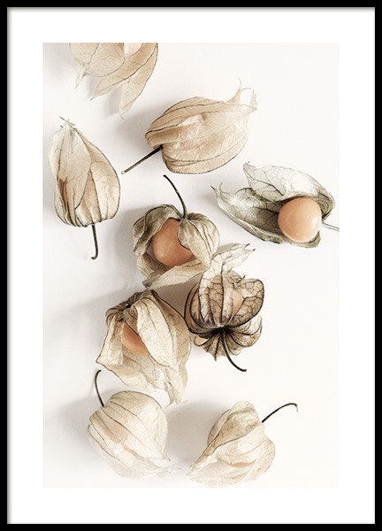 Golden Berries Poster in der Gruppe Poster / Küchenposter bei Desenio AB (12993)