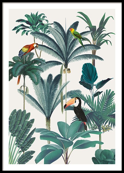 Royal Botanical Birds Affiche dans le groupe Affiches / Insectes et animaux / Oiseaux chez Desenio AB (13736)