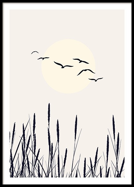 Fields of Gold Poster nel gruppo Poster / Natura / Quadri cielo presso Desenio AB (13751)
