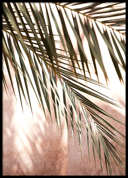 Pink Shadow Poster nel gruppo Poster / Fotografia presso Desenio AB (14219)