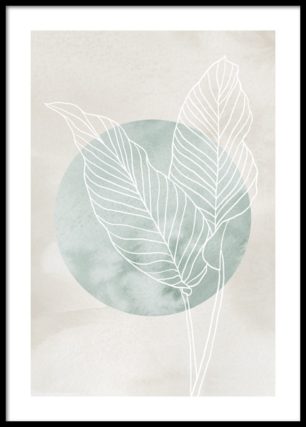 Calathea Line Drawing Affiche dans le groupe Affiches / Art chez Desenio AB (14660)