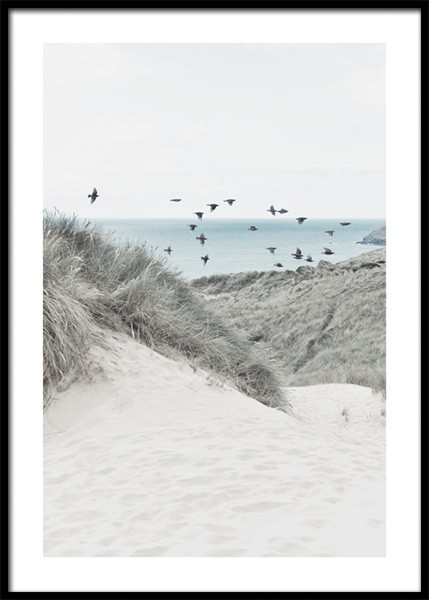 Beach Dune Poster in der Gruppe Poster / Naturmotive / Strände bei Desenio AB (14832)