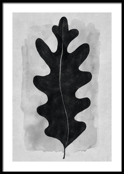 Black Oak Leaf Poster in der Gruppe Poster / Kunstdrucke bei Desenio AB (14915)