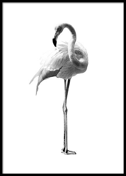Flamingo Black And White Affiche dans le groupe Affiches / Noir et blanc chez Desenio AB (2395)