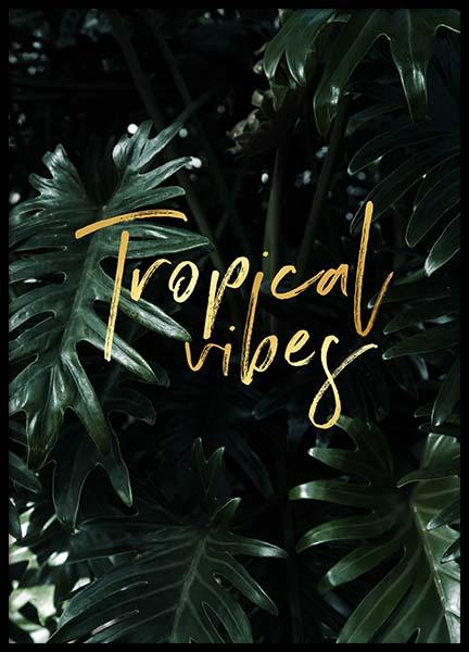 Tropical Affiche dans le groupe Affiches / Affiche citation chez Desenio AB (2402)