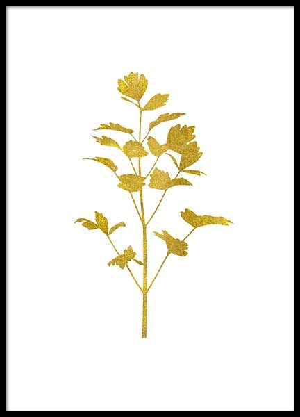 Golden Parsly Affiche dans le groupe Affiches / Botanique chez Desenio AB (3107)
