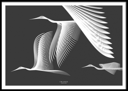 Cranes In Moiré Poster nel gruppo Poster / Animali presso Desenio AB (3223)