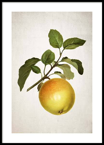 Apple Affiche dans le groupe Affiches / Affiches cuisine chez Desenio AB (3511)