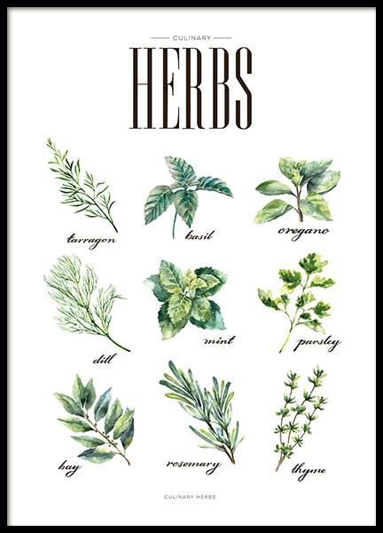 Herbs Green Poster nel gruppo Poster / Poster per la cucina presso Desenio AB (8230)