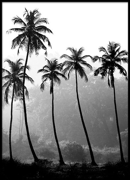 Palm Trees, Affiche dans le groupe Affiches / Nature chez Desenio AB (8379)