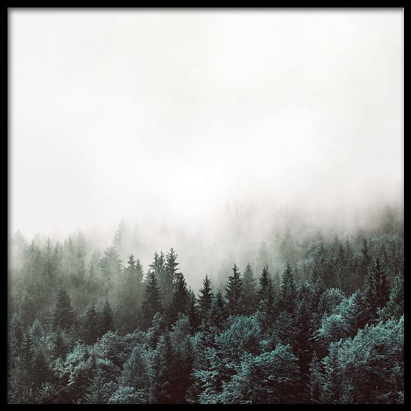 Tree Tops, Affiches dans le groupe Affiches / Nature chez Desenio AB (8587)