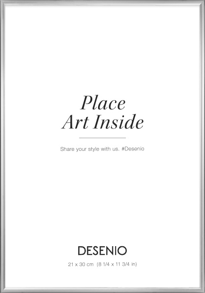 Cornice argentata, 21x30