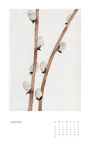– Wandkalender mit Botanikillustrationen, mit einer Blume oder Pflanze für jeden Monat