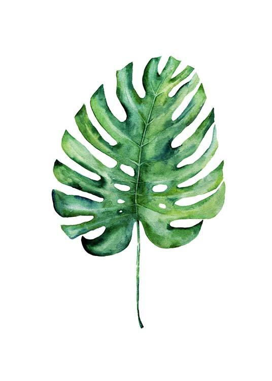 Monstera Aquarell One Affiche