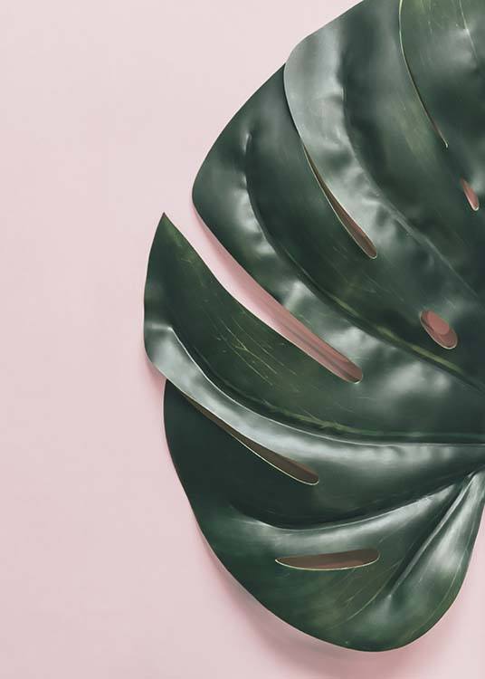 Leaf On Pink Affiche