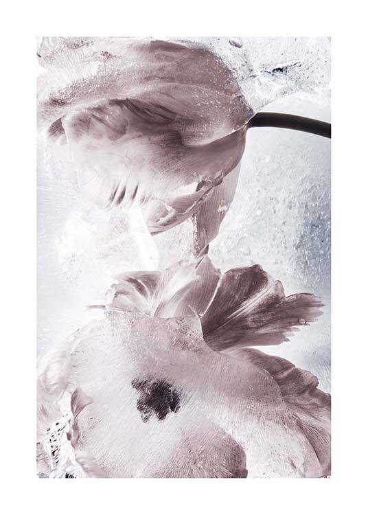 Tulipe And Ice No2 Poster / Fotografien bei Desenio AB (10410)