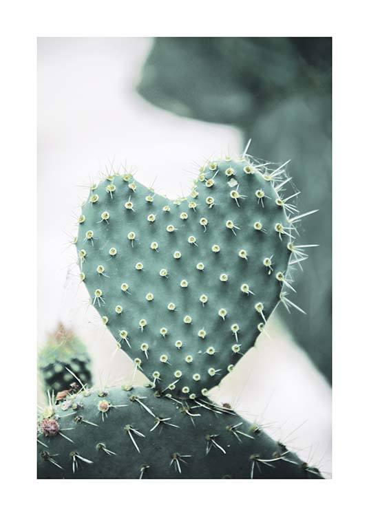 Heart Cactus Poster / Fotografien bei Desenio AB (10431)