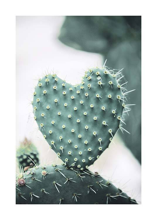 Heart Cactus Affiche