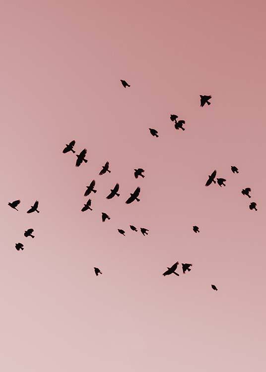 Pink Bird Sky Affiche