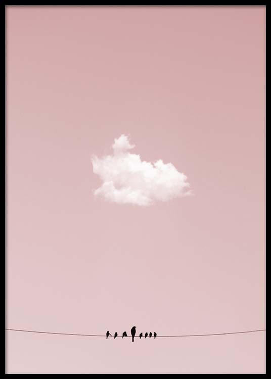  – Poster d'une photo montrant des oiseaux posés sur une ligne électrique, avec un ciel rose en fond