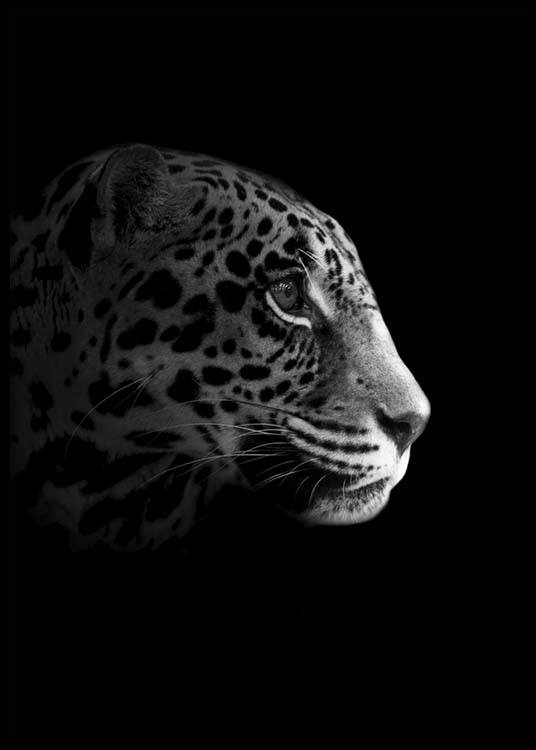 Leopard From Side Poster