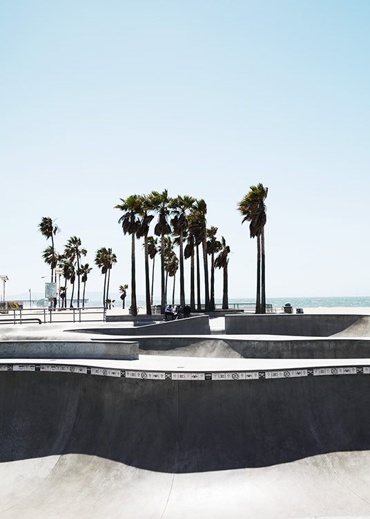 Venice skate park Affiche