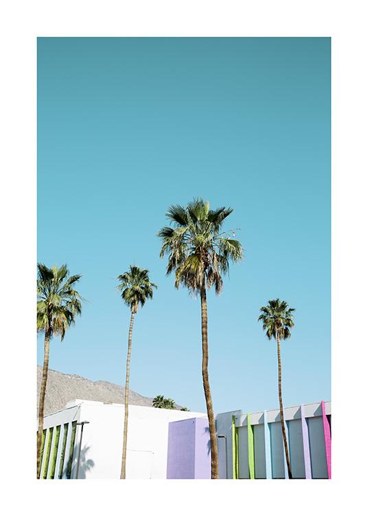 Rainbow Palms Poster / Tropisch bei Desenio AB (10789)