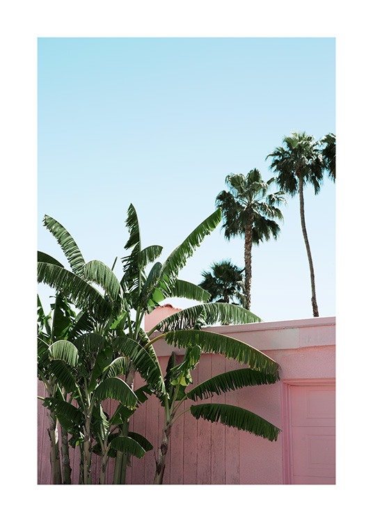 Pink Banana Leaves Poster / Pflanzen bei Desenio AB (10791)
