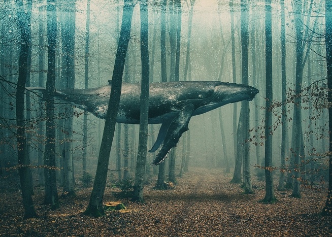  – Kunstdruck mit einem Wal, der in einem Wald zwischen Bäumen schwimmt