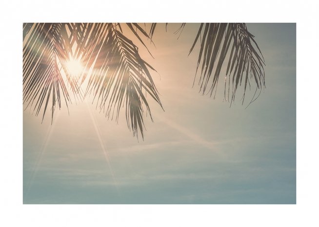 Sunset Palm Leaves Affiche