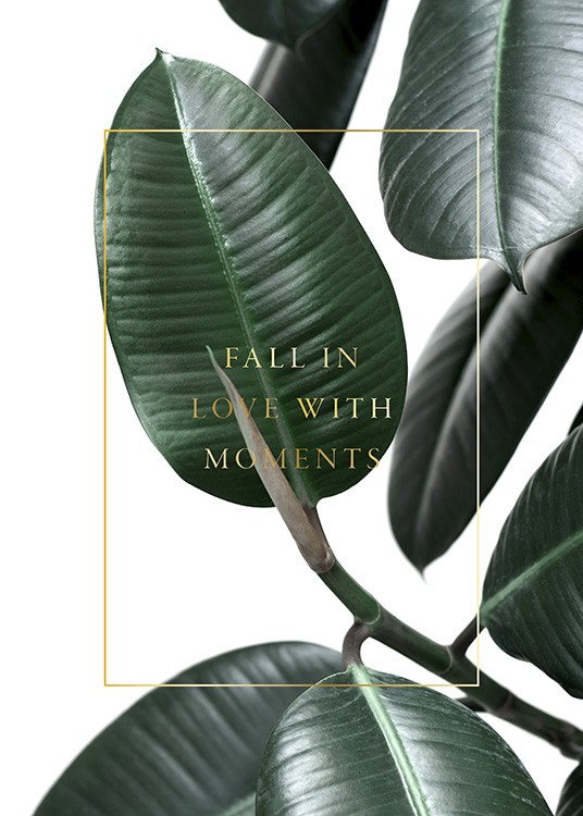  – Fotografie mit den grünen Blättern eines Gummibaums, goldenem Text und einem goldenen Rahmen in der Mitte