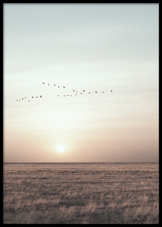 Field Sunset Poster / Natura presso Desenio AB (10922)