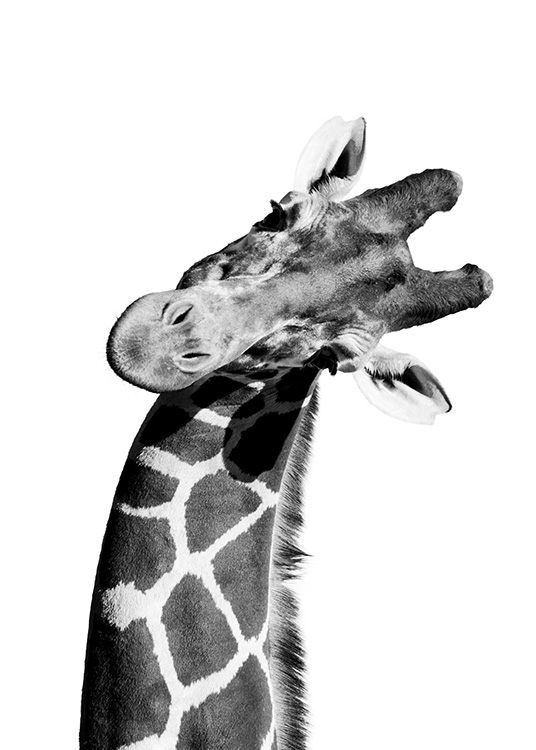 Giraffe Portrait Poster / Quadri per  bambini presso Desenio AB (10966)