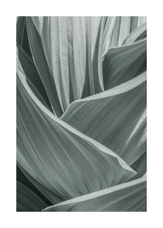 Abstract Green Leaves Poster / Fotografia presso Desenio AB (10982)