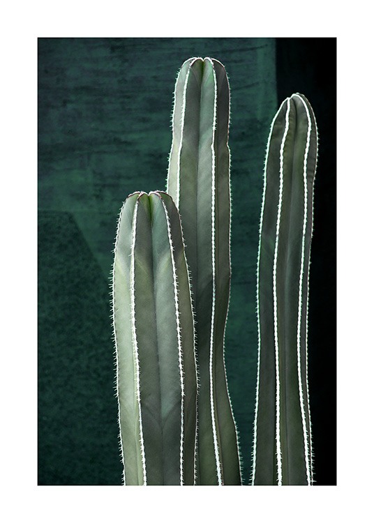 Dark Green Cactus Affiche