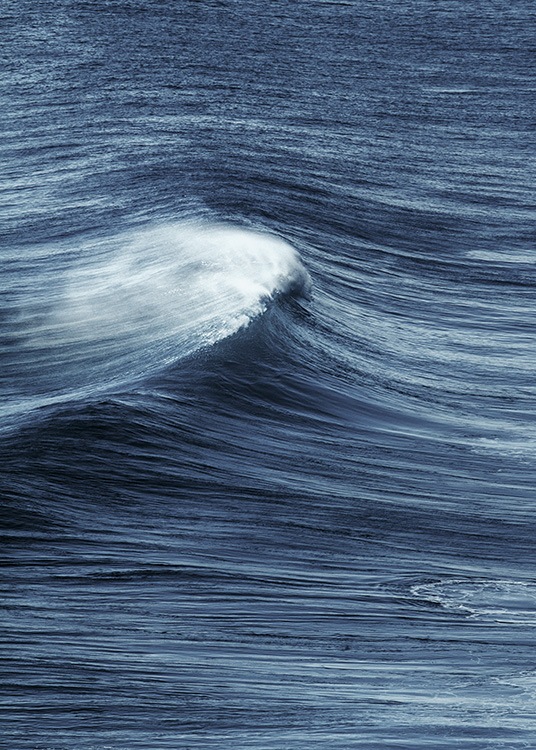 Ocean Swirl Poster / Natura presso Desenio AB (11263)