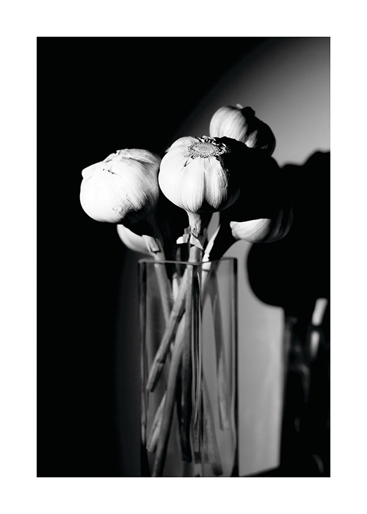Garlic in a Vase Poster / Bianco e nero  presso Desenio AB (11278)