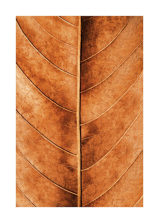 Autumn Leaf Affiche