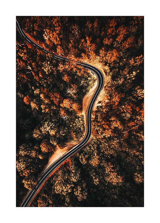 Autumn Aerial View Poster / Naturmotive bei Desenio AB (11576)